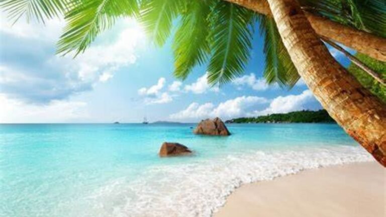 Paradise