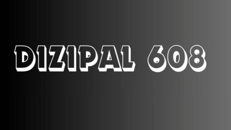 Dizipal 608