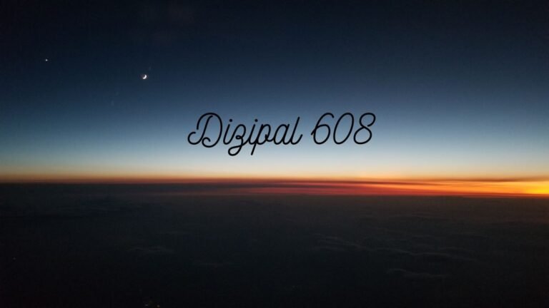 Dizipal 608