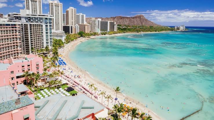 A Guide to Choosing the Best Remediation Companies in Honolulu
